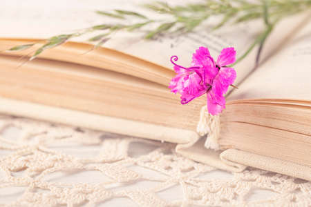 Old book and flowers on the tableの写真素材