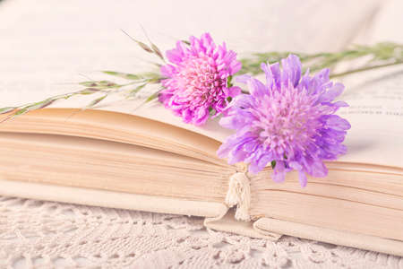 Old book and flowers on the tableの写真素材