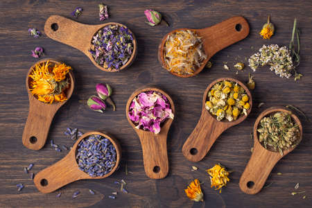 Dried flowers in wooden spoons on blue backgroundの写真素材