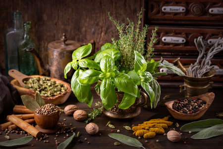Still life with fresh herbs in the mortarの写真素材