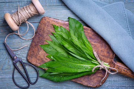 Wild garlic or ramson's green leaves on wooden backgroundの写真素材