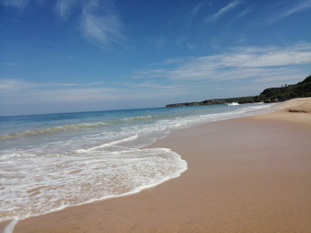 Pink Beachの写真素材