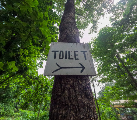 toilet sign hanging from a treeの写真素材