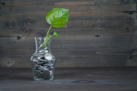 Business financial planning concept photo. coins in jar with greenery plant on dark brown wooden background. sustainable savings management. Soft focusの写真素材