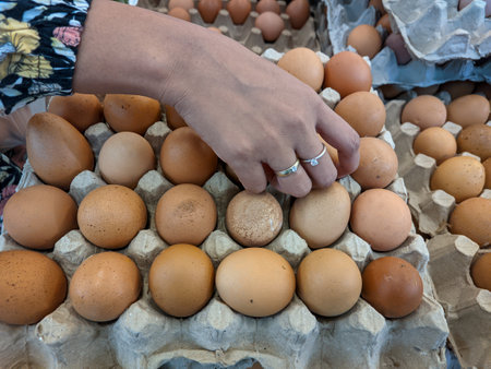 Hand take Fresh Chicken eggs in marketの写真素材