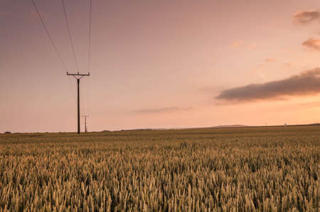 Sunset above fieldの写真素材