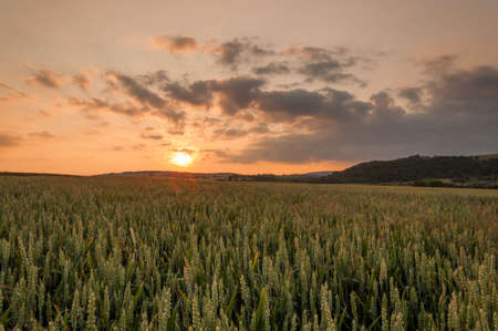 Sunset above fieldの写真素材