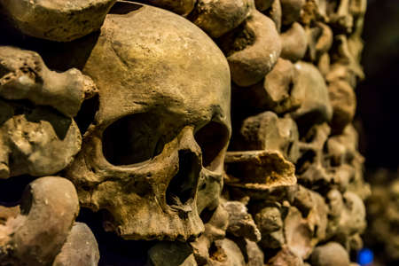 Skulls and bones from the charnel houseの写真素材