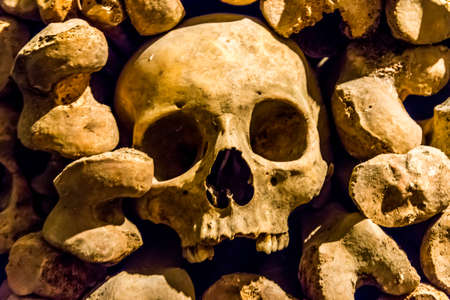 Skulls and bones from the charnel houseの写真素材
