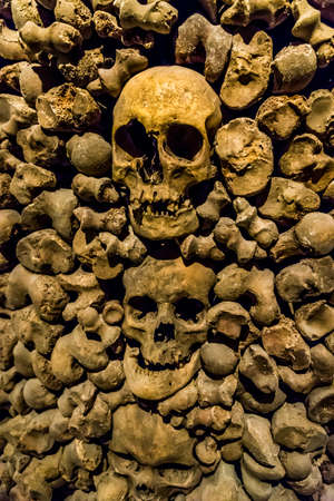 Skulls and bones from the charnel houseの写真素材
