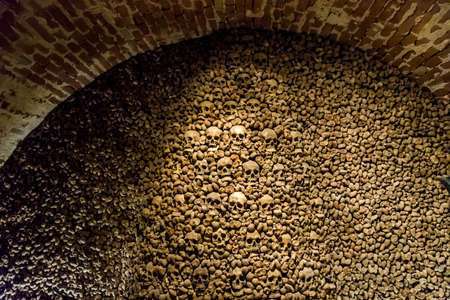 Skulls and bones from the charnel houseの写真素材