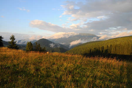 Mountains Tatra landscape with green forest, blue clouds and the meadow