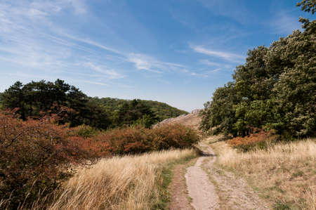 Pasture plain with grass and lake in backgroundの写真素材
