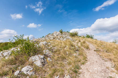 Meadow with rock and tree under the blue sky - landscape on the small mountainの写真素材