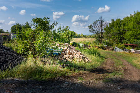 Iron crap and garbage near the green shrub. Industrial environment and recyklation of waste. Trash and corrosion.の写真素材