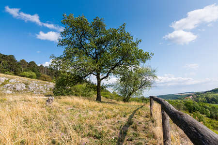 Landscape of village taken from wood railing, with trees and grass.の写真素材