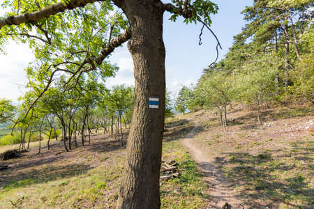 Tourist mark on the tree, near path in national park.