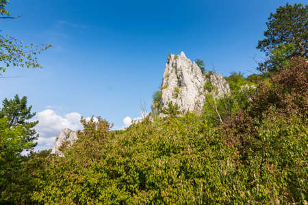 White rock at Palava czech republic. Rock placed in trees and forest.の写真素材