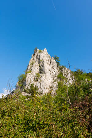 White rock at Palava czech republic. Rock placed in trees and forest.の写真素材