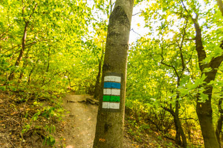Tourist mark on the tree, near path in national park.の写真素材