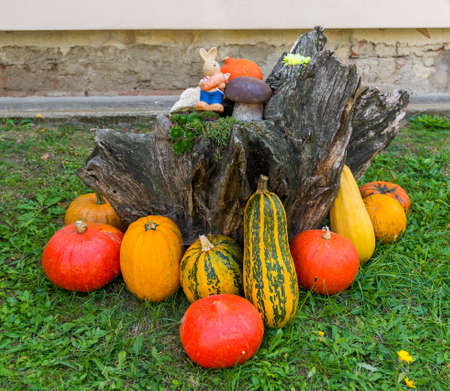 Pumpkins around the stump with statue of hare and boletus. Placed on green grassの写真素材