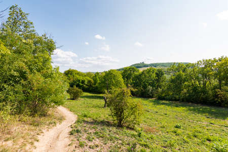Path near the fields, agricultue, trees and bushes. Summer weather and blue sky.の写真素材