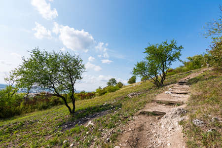 Path near the fields, agricultue, trees and bushes. Summer weather and blue sky.の写真素材