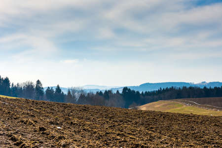Landscape of agriculture field and meadow. Preparation for spring. Trees near the road, blue skyの写真素材