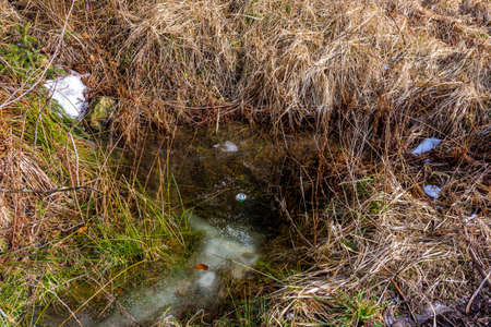 Small spring and puddle in the forest, with the garbage in water. Touristic pollution.