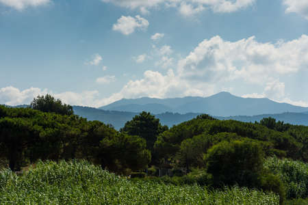 Landscape of Corsica mountains, faded in mist. Trees and bunches in foreground, mountains in background. Green and fresh beautiful nature. Travel photoの写真素材