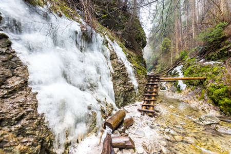 Slovakia paradise - The Sucha Biela river canyon with tourist path. Hiking in the river canyon, forest trees on the sides. Beautiful nature in the spring forest.の写真素材
