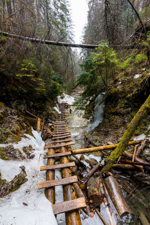 Slovakia paradise - The Sucha Biela river canyon with tourist path. Hiking in the river canyon, forest trees on the sides. Beautiful nature in the spring forest.の写真素材