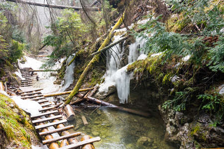 Slovakia paradise - The Sucha Biela river canyon with tourist path. Hiking in the river canyon, forest trees on the sides. Beautiful nature in the spring forest.の写真素材