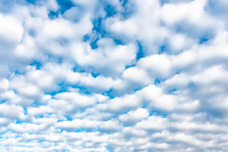 Dramatic cloud texture. White clouds placed on blue sky background. Nice cloudscape after sunrise....