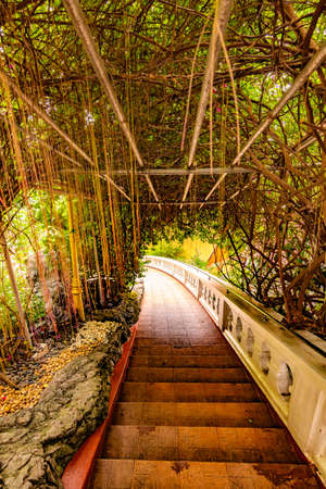 Stars leading to the Wat Saket temple (Golden mount) in Bangkok city, Thailand. Beautiful trees and...