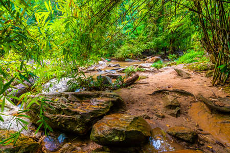 Tourist path in the jungle near Mae Sa river and waterfall, Thailand. Road in the tropical...