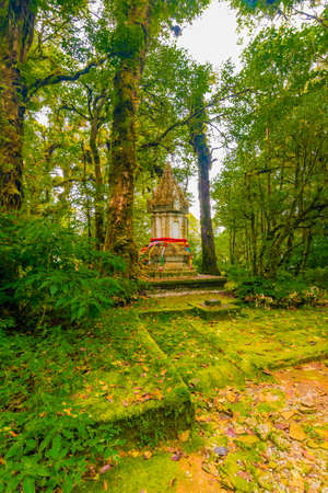 Memorial shrine at Doi Inthanon tropical rainforest park. Elephant statues on the sides as memento of king visit.の写真素材