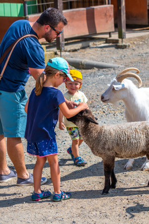 Vyskov, Czech Republic - 4.7.2021: Parents and kids are touching and feeding the goats at small farm.のeditorial素材