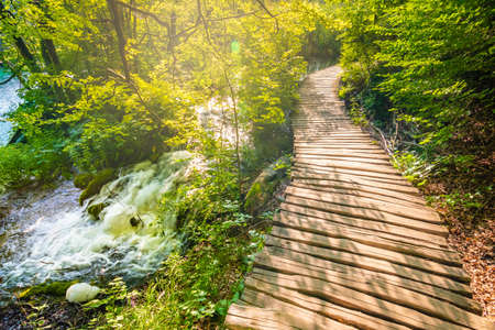Wooden tourist path at forest, Plitvice national park, Croatia. Fresh and beautiful nature, soft light.の写真素材