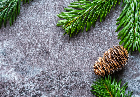 Pine cone is placed on a gray background with a green pine tree branch. Winter and christmas decoration.の写真素材