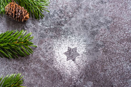 Pine cone is placed on a gray background with a green pine tree branch. Winter and christmas...