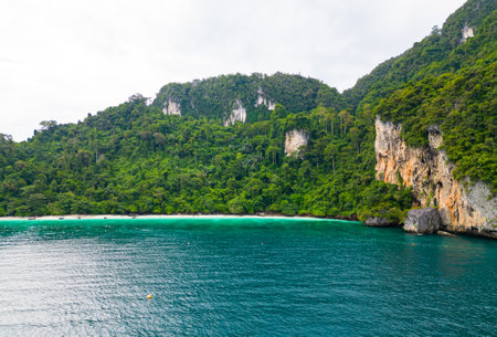 Aerial drone view of famous Monkey Beach at Ko Phi Phi island, Thailand. Tropical beach with white sand, turquoise water and green forest. Long-tailed boats are waiting on the beach. Exotic tourist destination, paradise.の写真素材