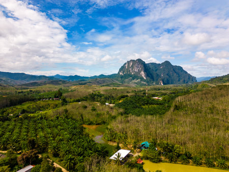 Aerial drone view of Khao Sok national park, Thailand. Jungle, palms and tropical forest. Mountains in the background.の写真素材