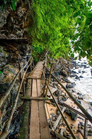 The Monkey trail starting at Ao Nang beach, Krabi province, Thailand. Wooden path in jungle.の写真素材