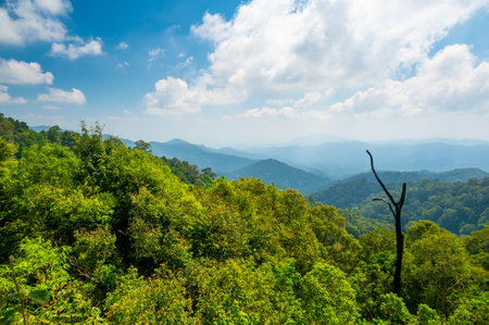 Panoramic view of Kew Fin viewpoint near the Mae Kampong village and Chiang Mai city, Thailand. View of mountains and hills in sunny day.の写真素材