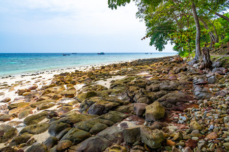 View of beautiful tropical beach at Ko Phi Phi islands, Thailand. White sand with green forest, palms and turquoise water. Summer weather, concept of vacation in paradise.の写真素材