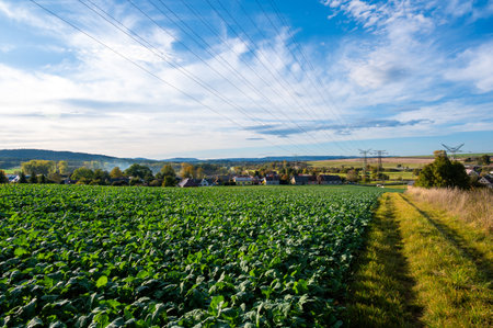 A landscape photo of power lines and transmission towers stretching across an open field with a scenic backdrop of hills and a partly cloudy sky. The image captures the intersection of nature and industry, highlighting the role of infrastructure in rural landscapesの写真素材