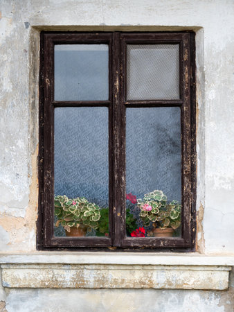 A rustic image of an old wooden window with plants and flowers visible behind the glass, capturing a cozy and timeless atmosphere of simple countryside charmの写真素材