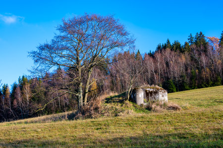 A historical view of a Czechoslovak anti-infantry bunker, known as a "ropik," standing in a field surrounded by trees, evoking the past and its wartime significanceの写真素材