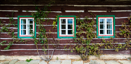 A picturesque view of a timbered cottage wall with wooden windows, entirely covered by a lush climbing plant, blending natural beauty with rustic architectureの写真素材